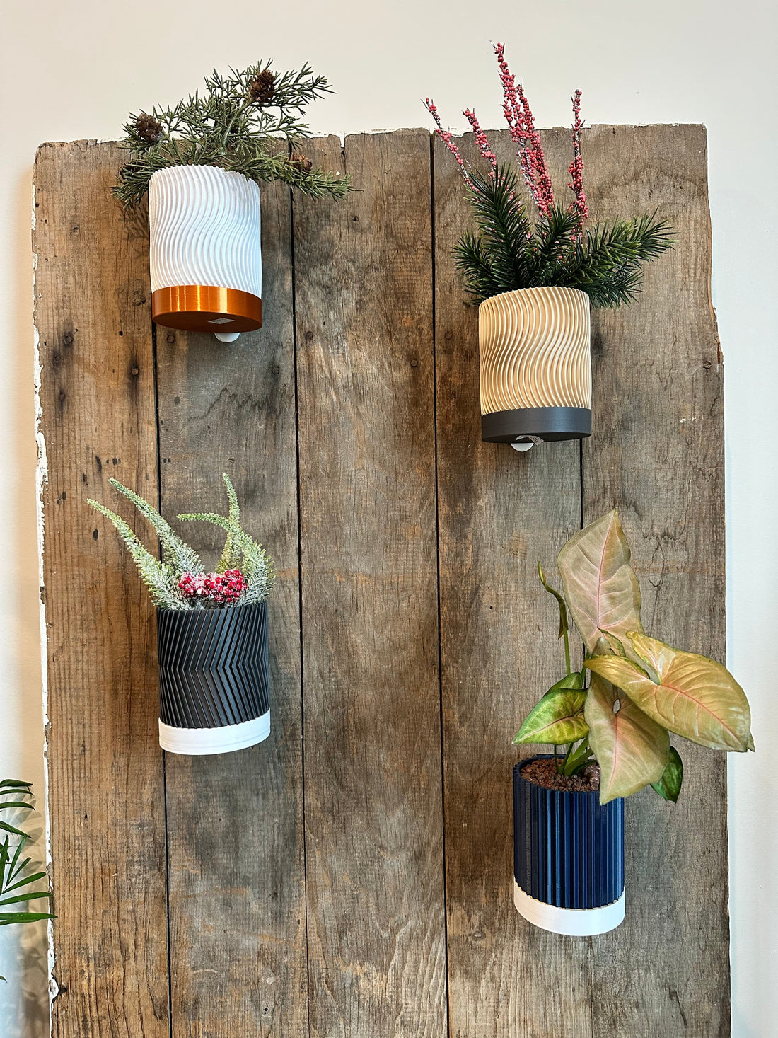 Best 3D Printed Planters for Small Spaces