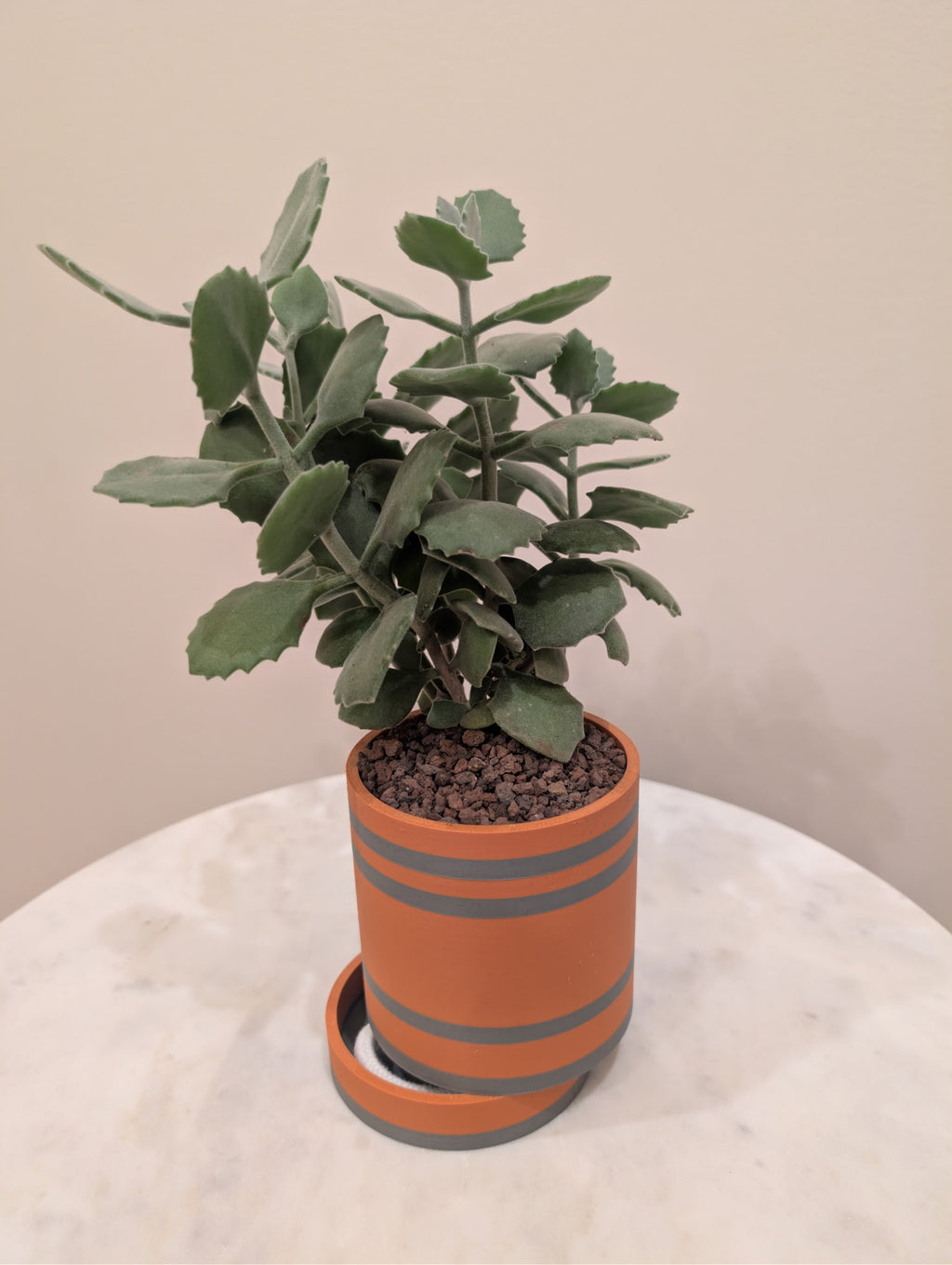 Bottom Watering Planter (Small Slider) (4x4 inch)