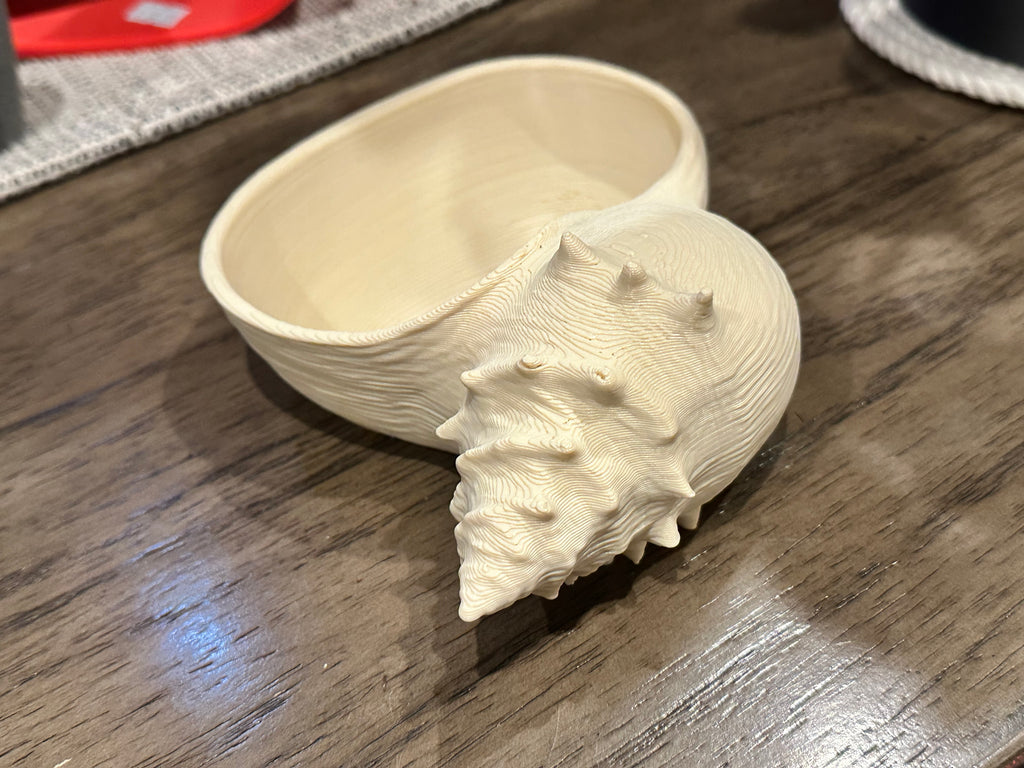 Conch Shell Bowl