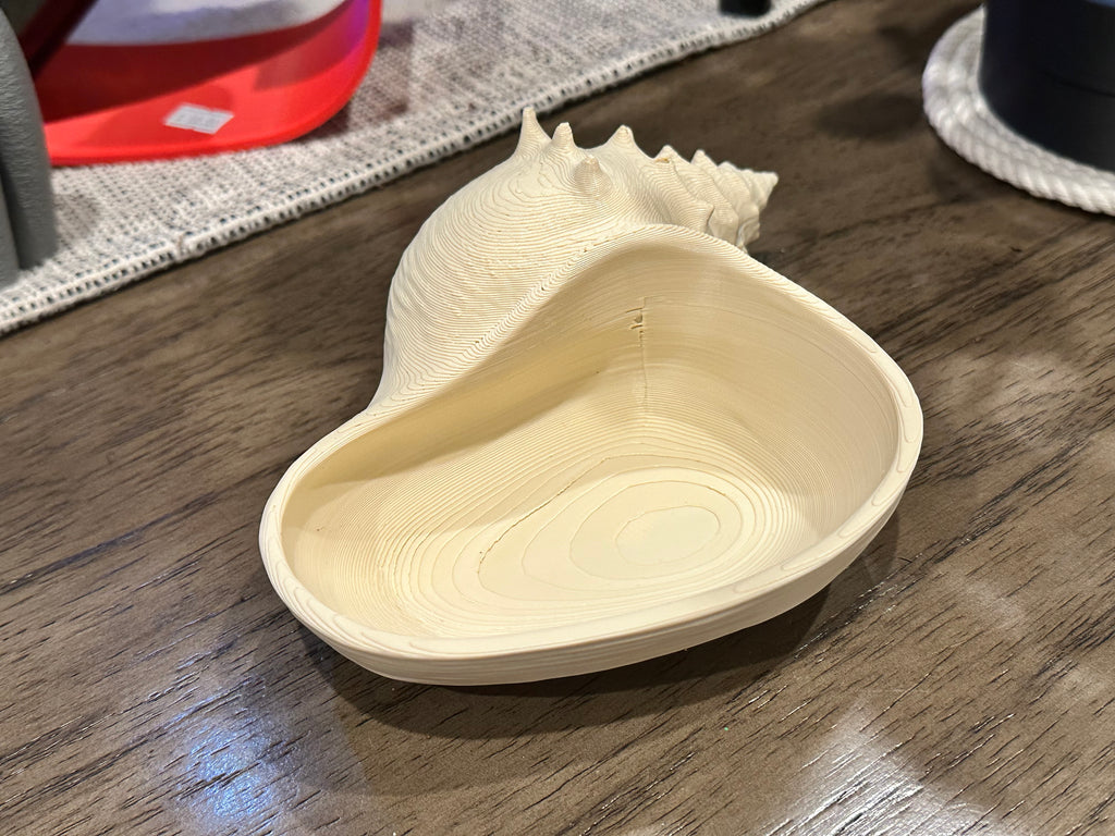 Conch Shell Bowl