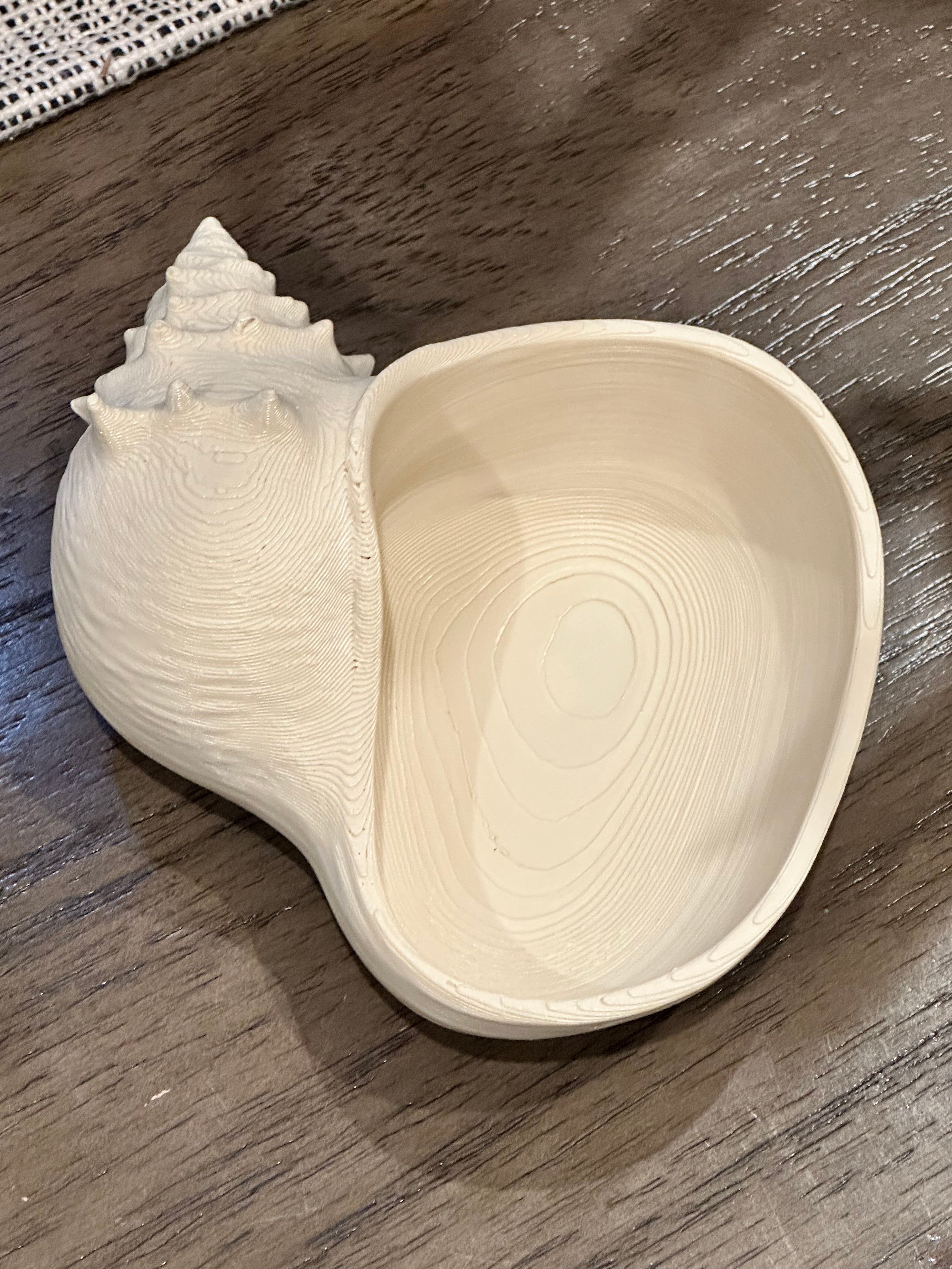 Conch Shell Bowl