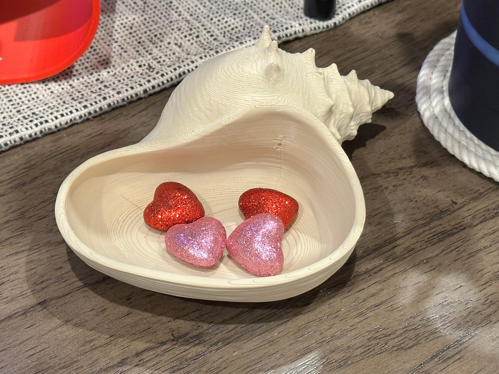 Conch Shell Bowl