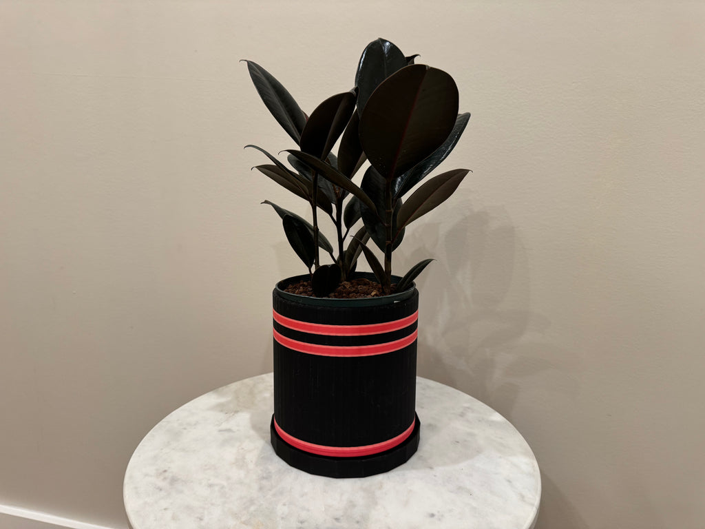 Large Bottom Watering Planter (6x6 Inch) Slim Base