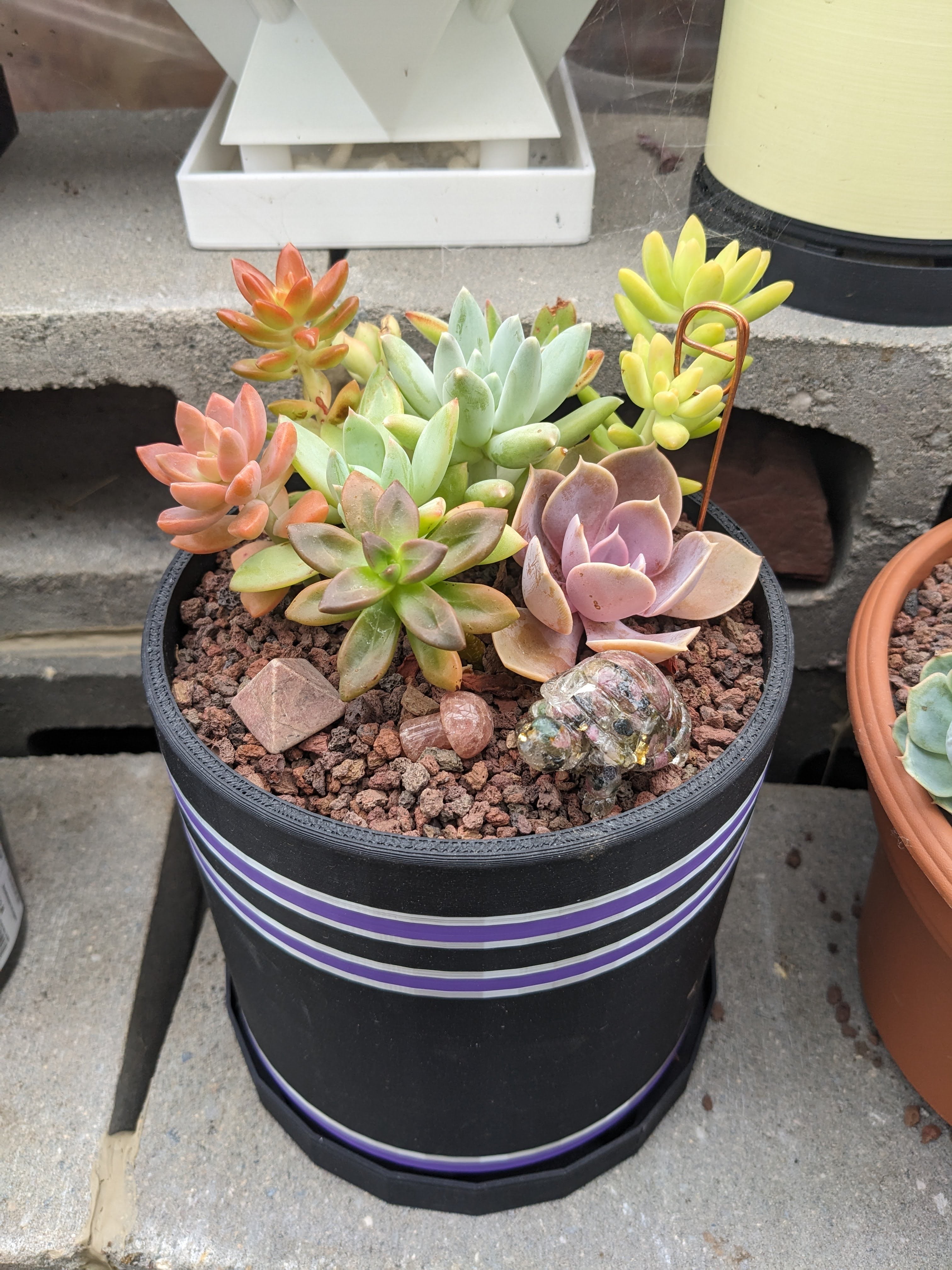 Large Bottom Watering Planter (6x6 Inch) Slim Base