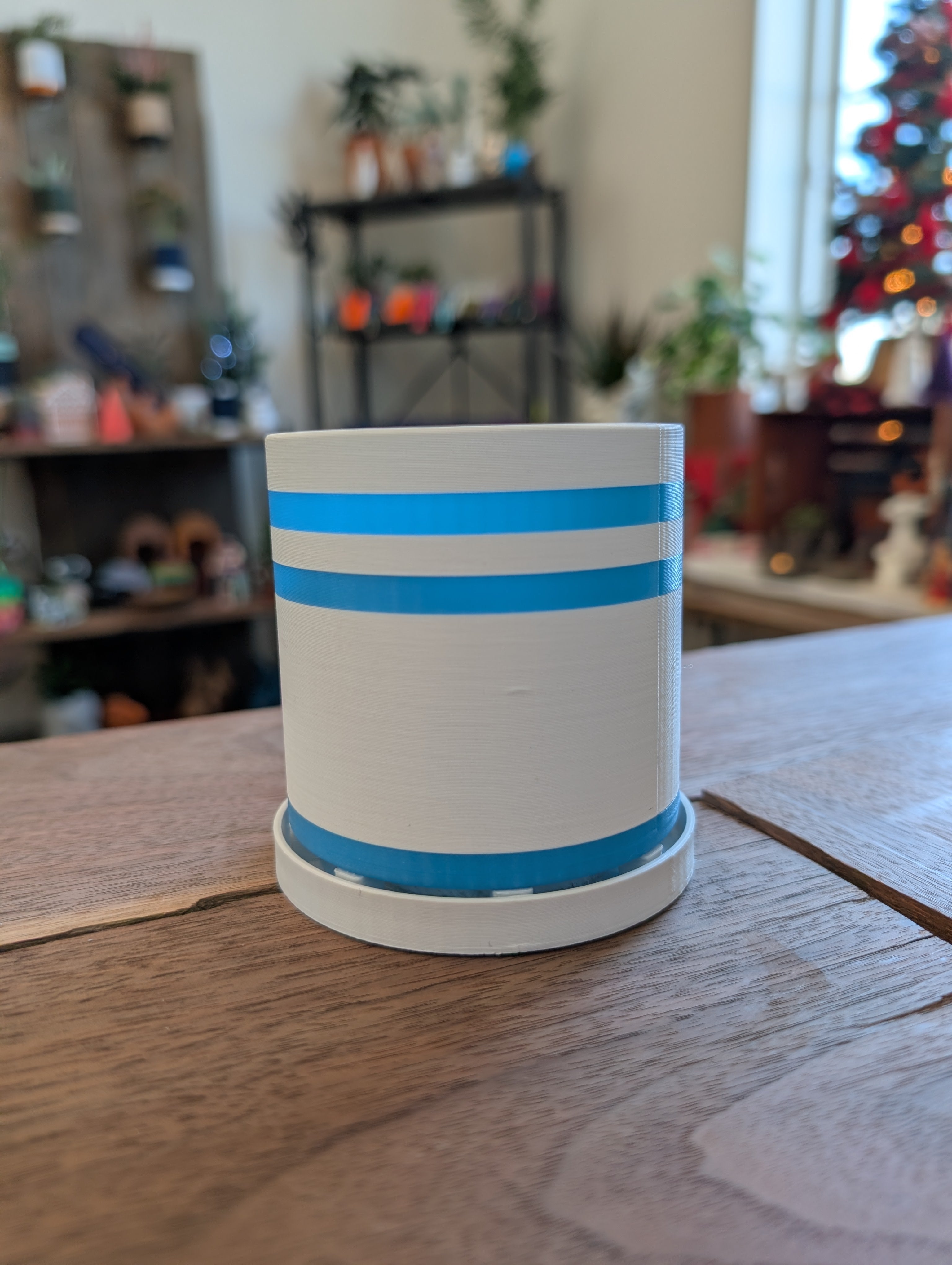 Small Bottom Watering Planter (3x3 Inch) Slim Base