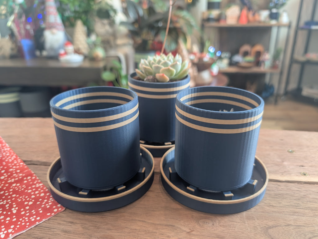 Bottom Watering Planter (3x3 inches)