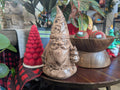 Christmas Gnome