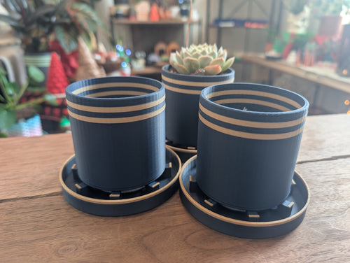 Bottom Watering Planter (3x3 inches)